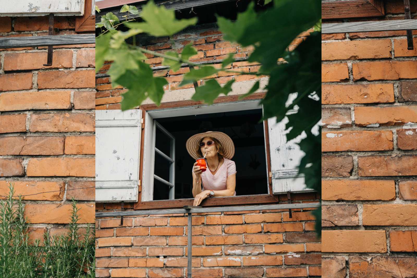 yerba-mate-pijumate-3