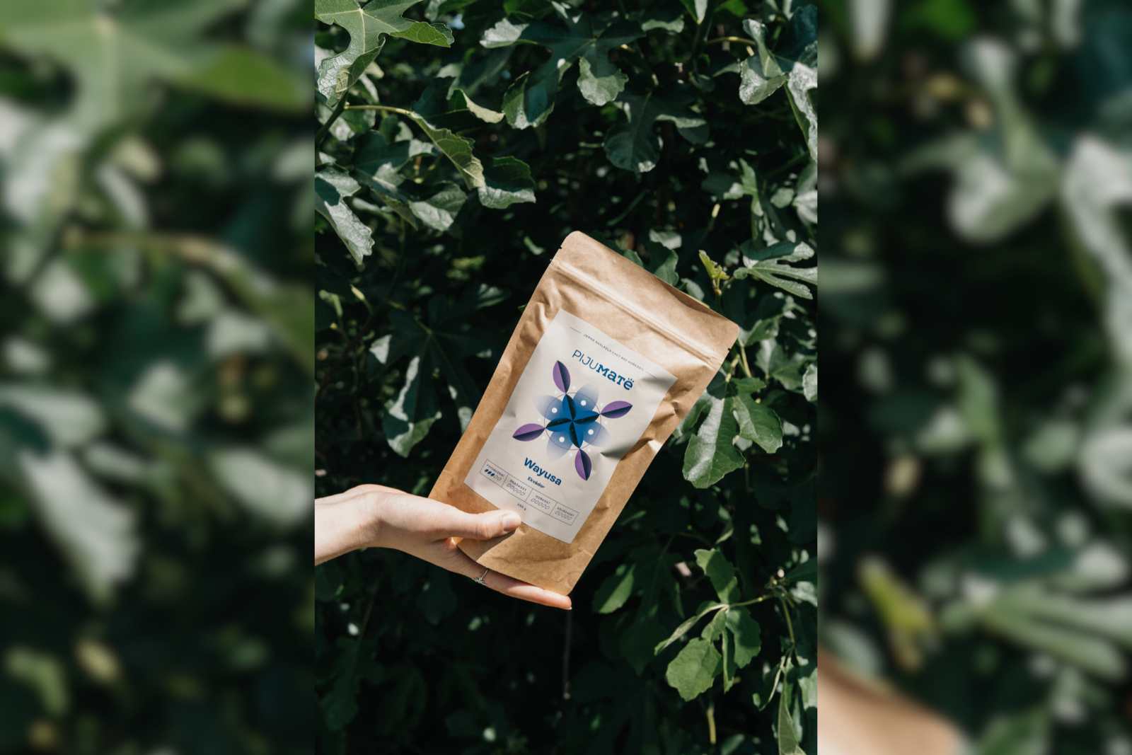 pijumate-wayusa-guayusa-ekvador