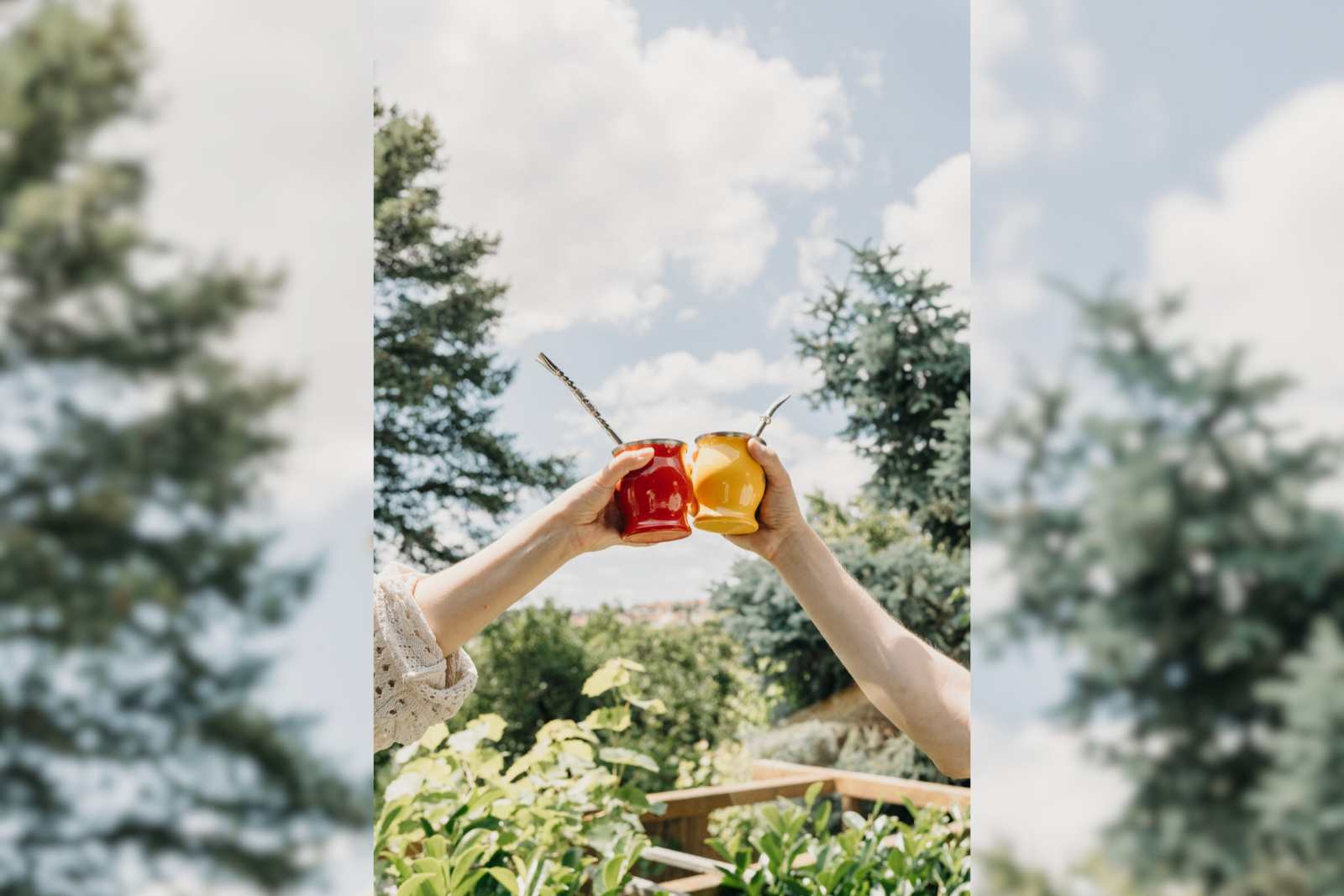 pijumate-yerba-mate-kalabasa