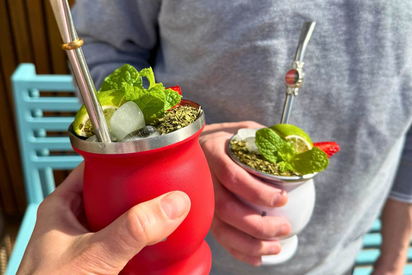 terere-yerba-mate-na-studeno-pijumate-2