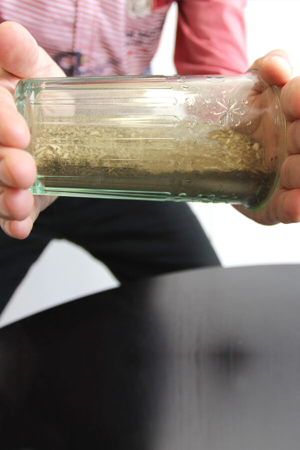 03-setrebani-casti_1