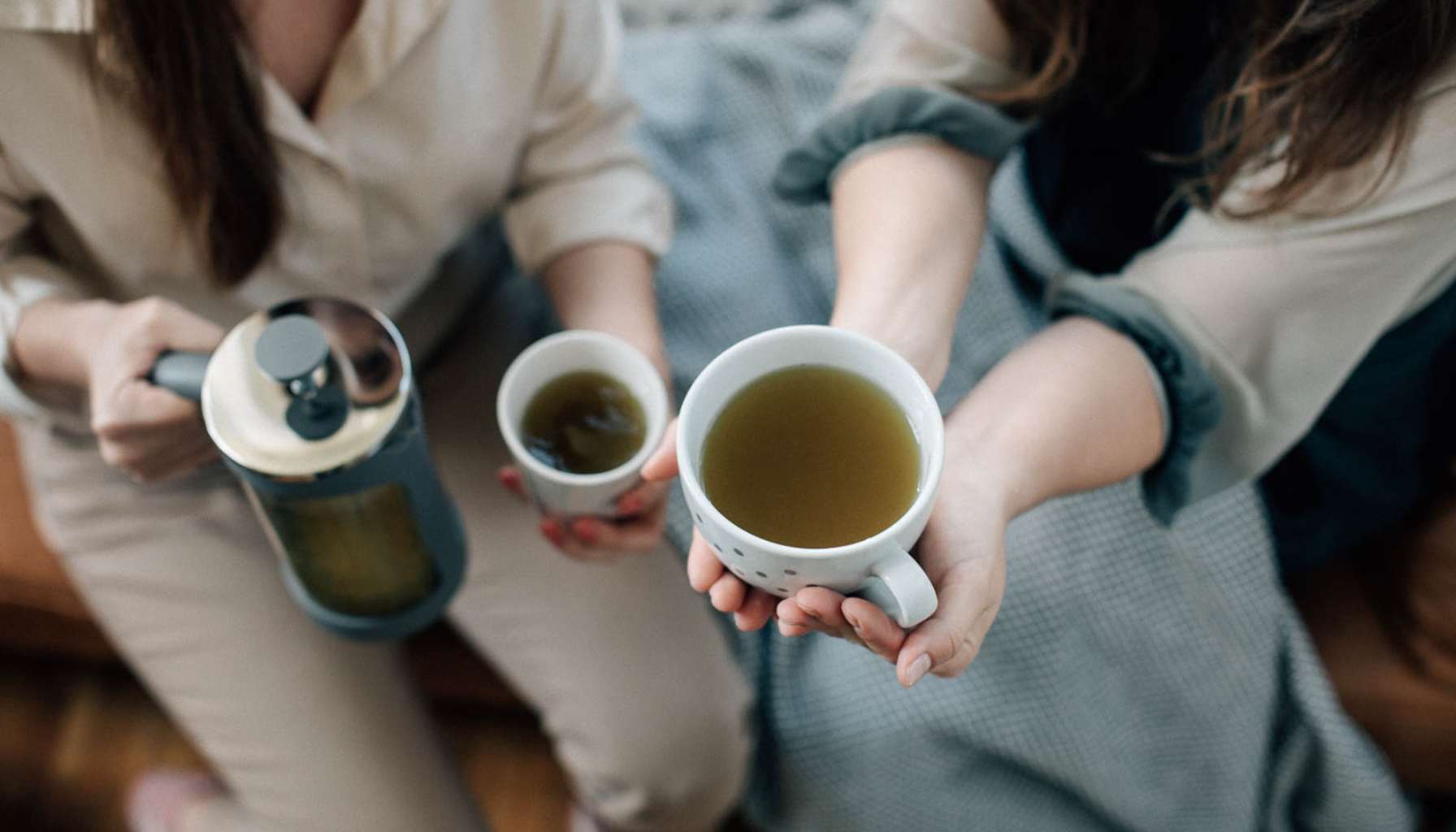 wayusa-vs-yerba-mate-vs-matcha-rozdily-pijumate-clanek